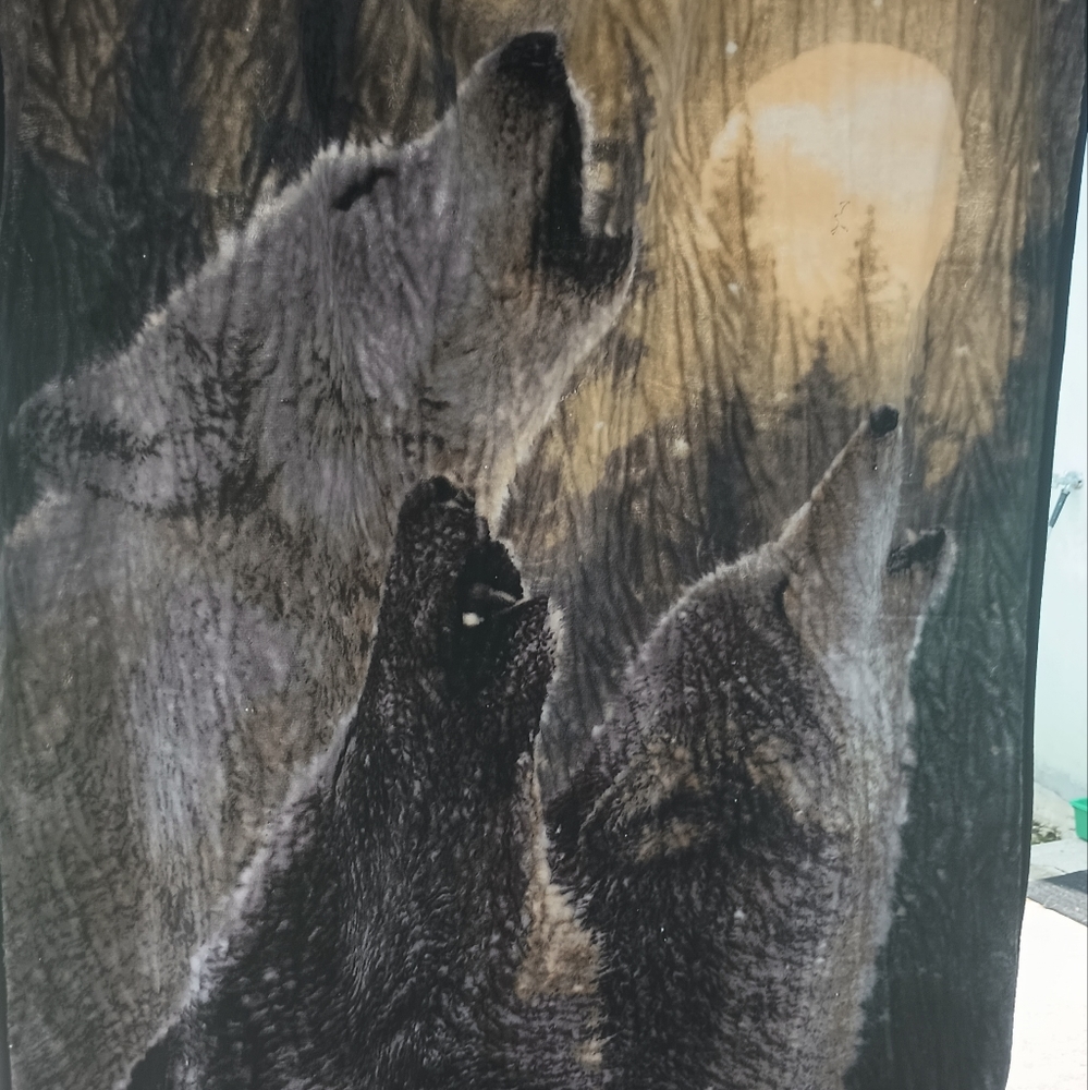 Blanket Wolf
